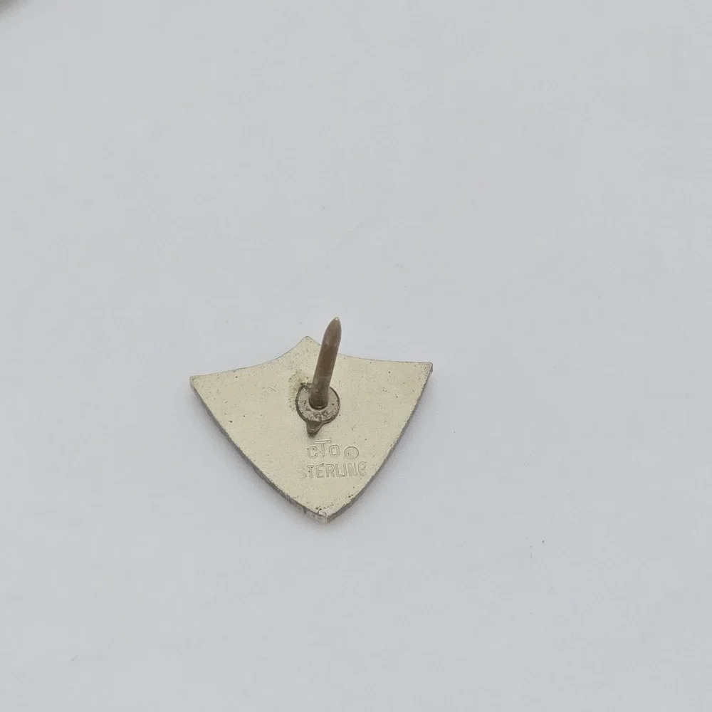 ATA Pin 'Driver of‎ the Month' 925 Sterling Silver American Trucking Association